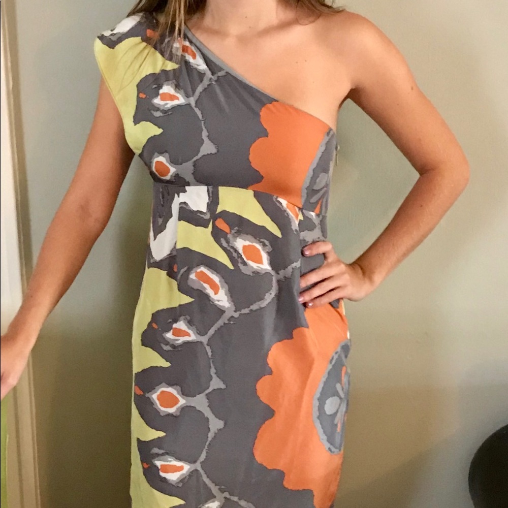 Susana Monaco gorgeous one shoulder silk dress